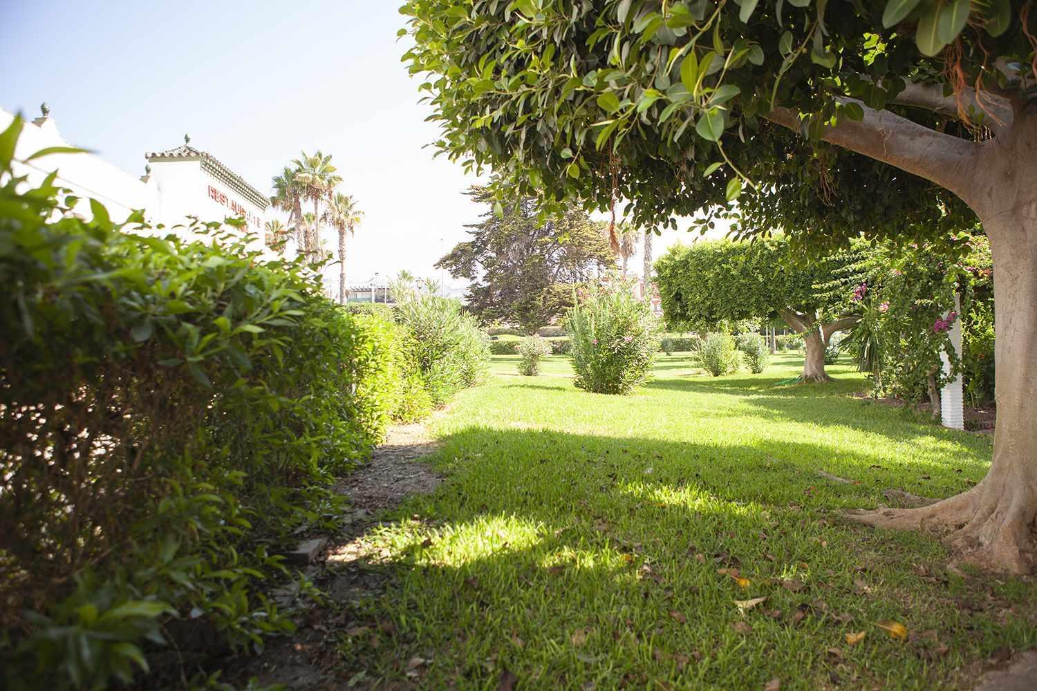 Apartmán A 100M De Playa Piscina Y Todos Los Servicios Torrox Exteriér fotografie